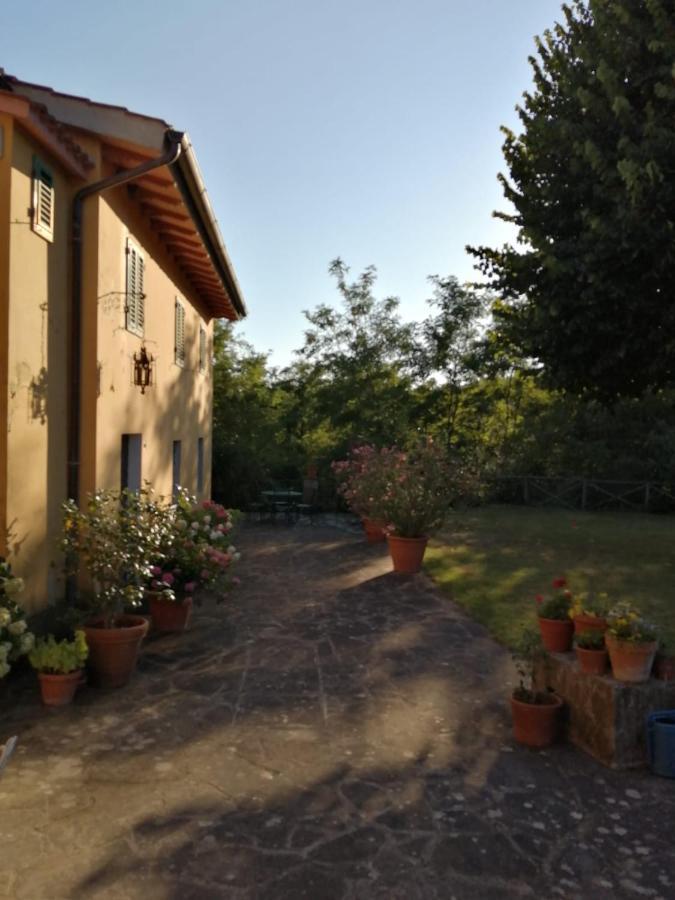 Mugello - Casa Di Campagna Bed & Breakfast Vicchio Exterior photo